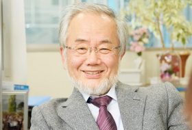 Нобелевскую премию по медицине получил японец